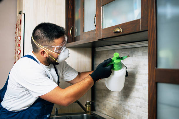 Professional Pest Control in Carefree, AZ